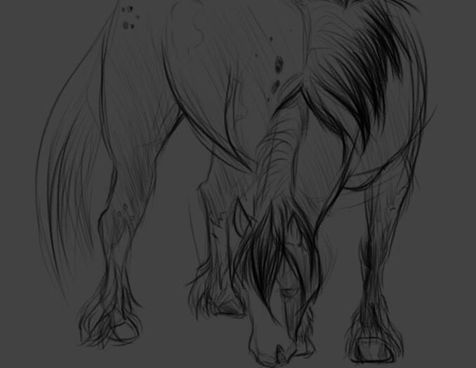 Draft Horse Sketch